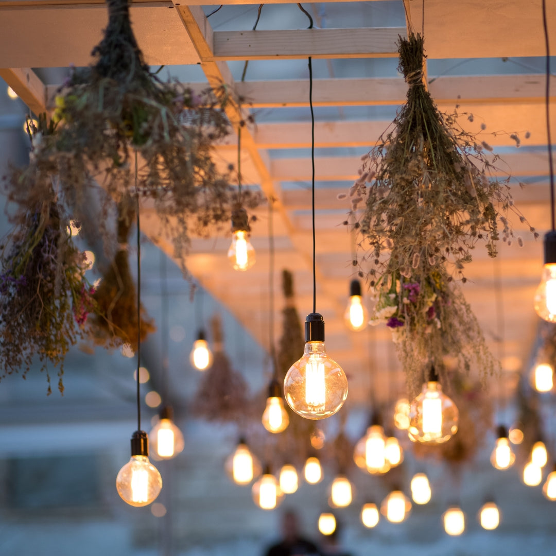 Hire Furniture, Lighting, Equipment & More | Tashi Event Rentals ...