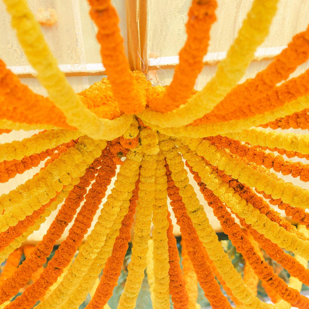 Haldi / Roce Ceremony